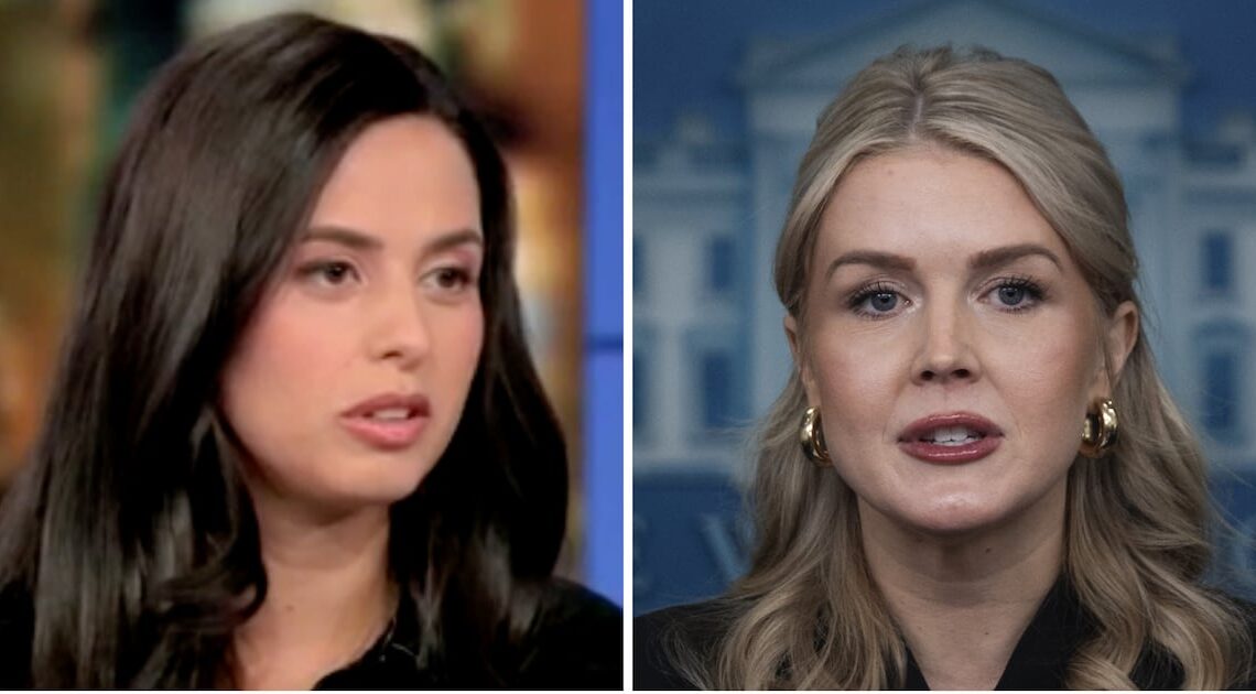 Mom of Karoline Leavitt’s Nephew Torches Her on CNN: ‘Why Lie?’