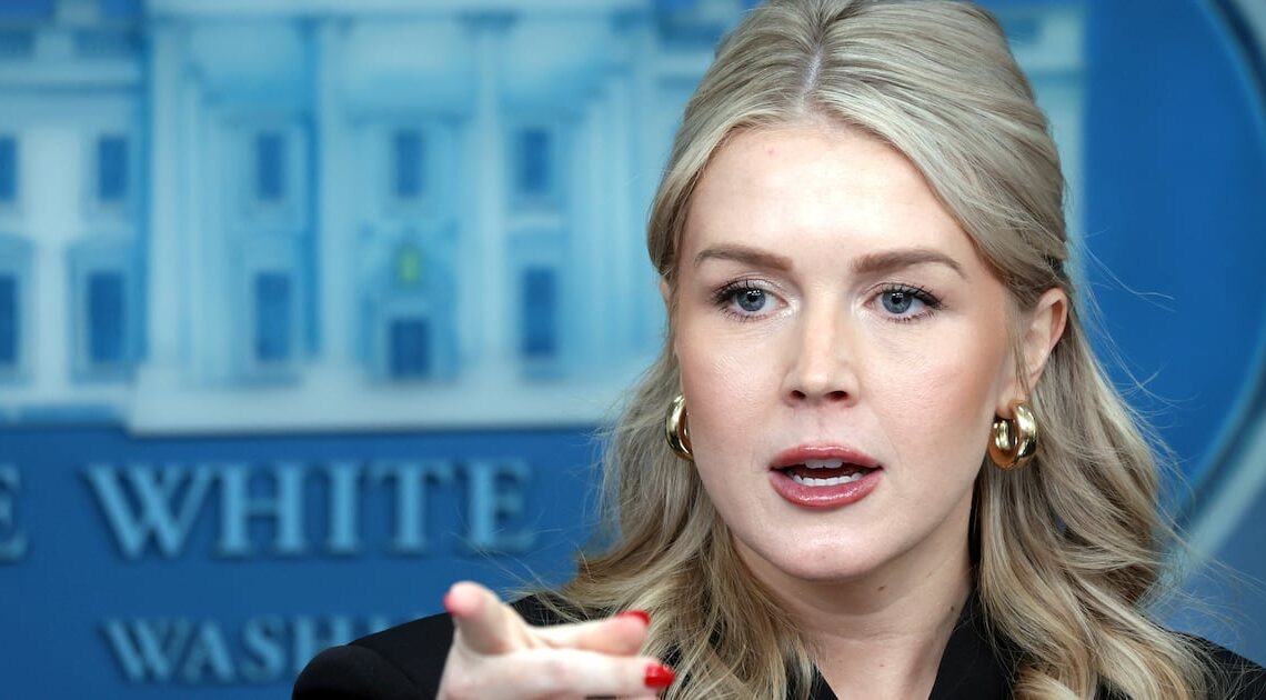 Rattled Leavitt Cornered on Trump’s Mystery Bandages