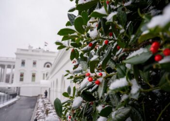 Much of Friday’s snow in D.C. melted away on Saturday