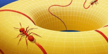 Behold the Manifold, the Concept that Changed How Mathematicians View Space