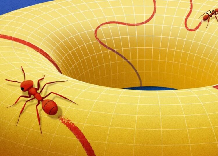 Behold the Manifold, the Concept that Changed How Mathematicians View Space