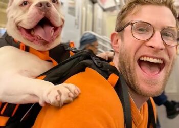 He carries shelter dogs around the city in a backpack to help get them adopted