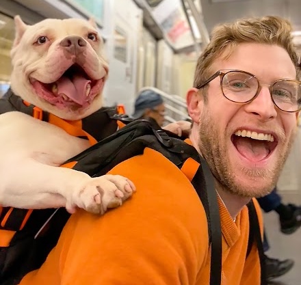 He carries shelter dogs around the city in a backpack to help get them adopted