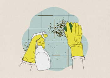 How to deal with mold and mildew