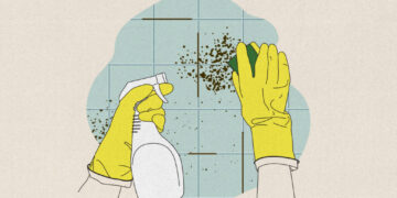 How to deal with mold and mildew