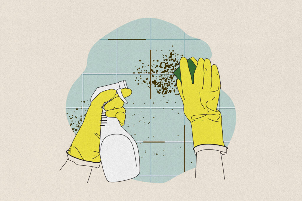 How to deal with mold and mildew