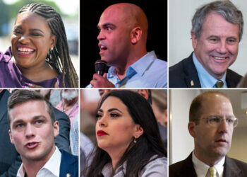 Duty? Insanity? These former members of Congress want to come back.