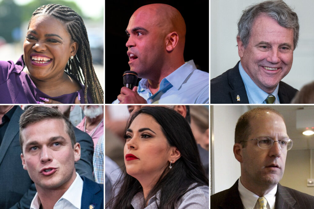 Duty? Insanity? These former members of Congress want to come back.