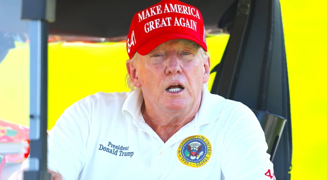 Trump, 79, Gave Unhinged Response to Pollster’s Dire Warnings