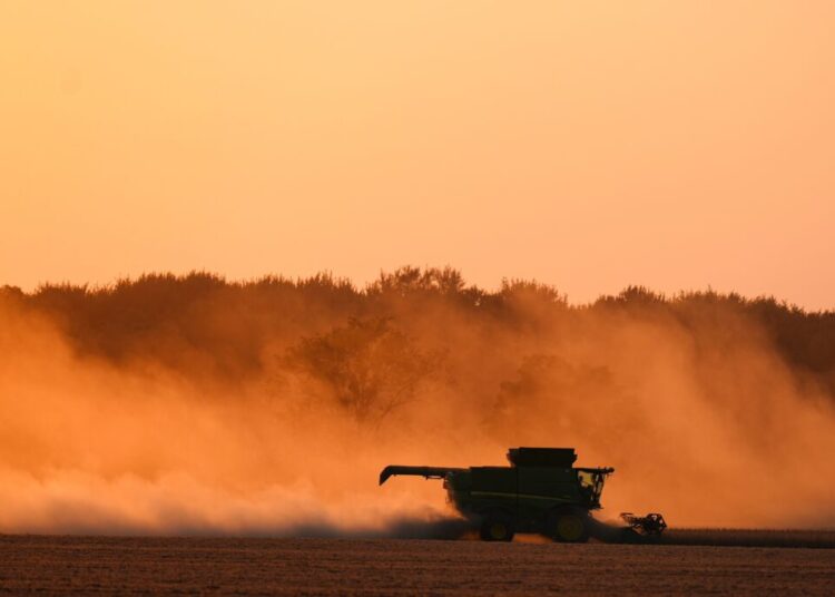 Trump’s farmer bailout caps tough year for loyal constituency