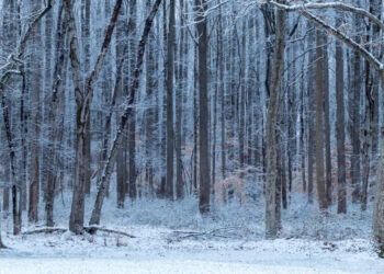 Second snow of December coats D.C. area. Here’s how much fell.
