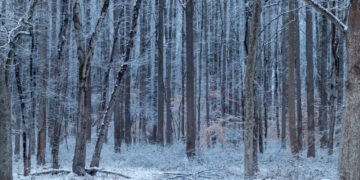 Second snow of December coats D.C. area. Here’s how much fell.