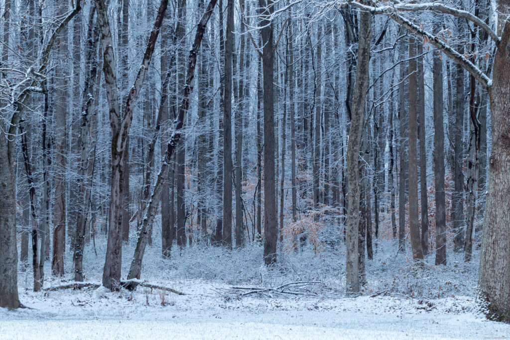 Second snow of December coats D.C. area. Here’s how much fell.