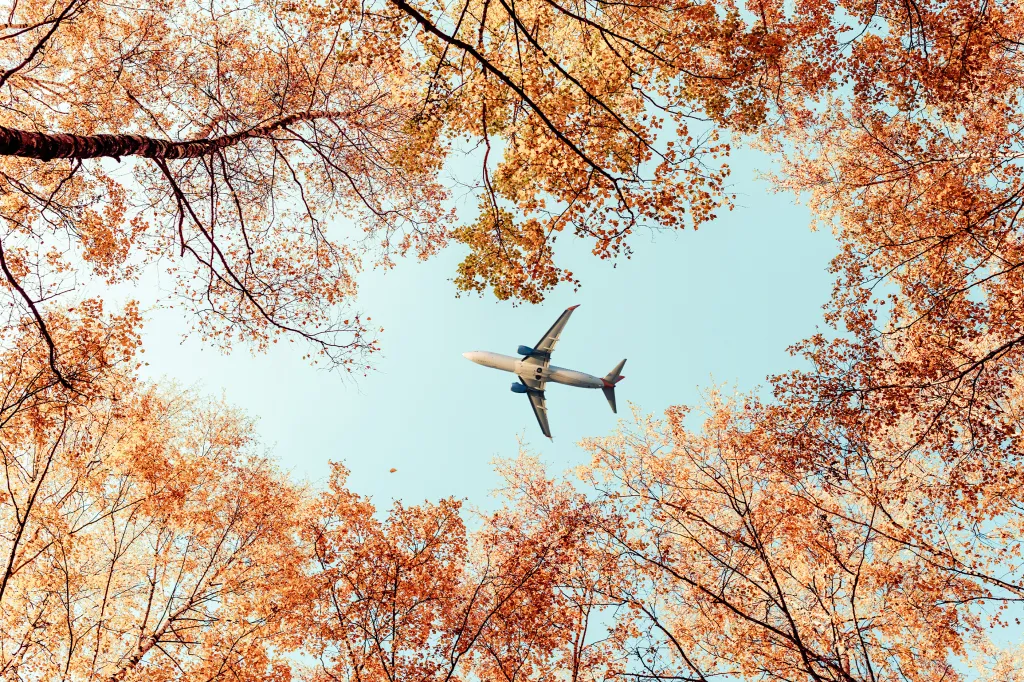 Passenger plane flying above trees in autumn