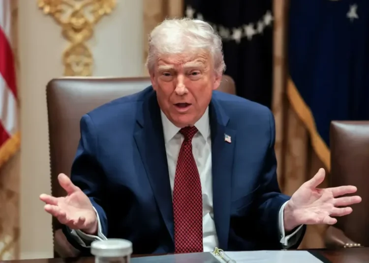 ‘Freaking fantastic!’ MAGA clerk’s attorney celebrates symbolic ‘pardon’ from Trump