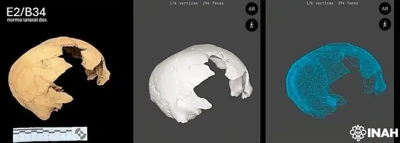 Collage of a 1,400-year-old skull fragment and its digital reconstructions.