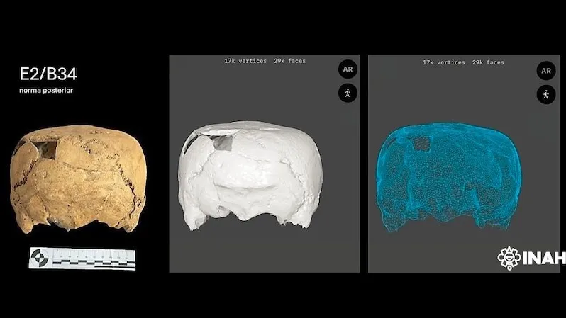 Collage of a 1,400-year-old human skull found in Mexico, shown as an archaeological artifact and as two 3D digital renderings.
