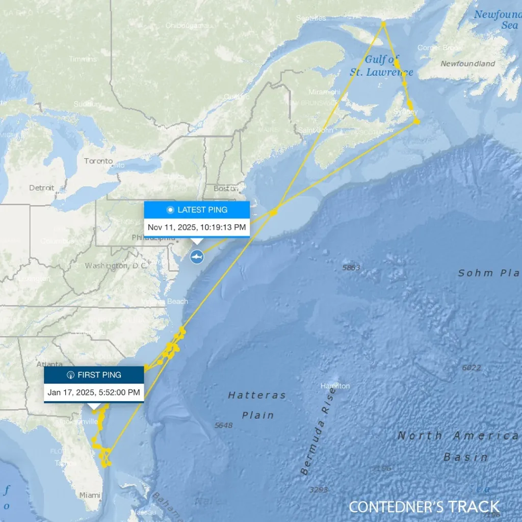 By November, he was headed south again and pinged off New Jersey. 