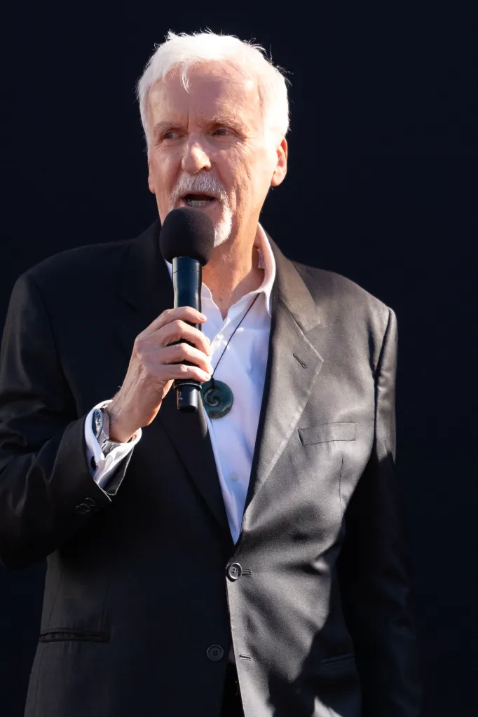James Cameron is still bristling over a joke Amy Poehler made while co-hosting the 2013 Golden Globes — calling it an “ignorant dig” that missed the mark at his expense.