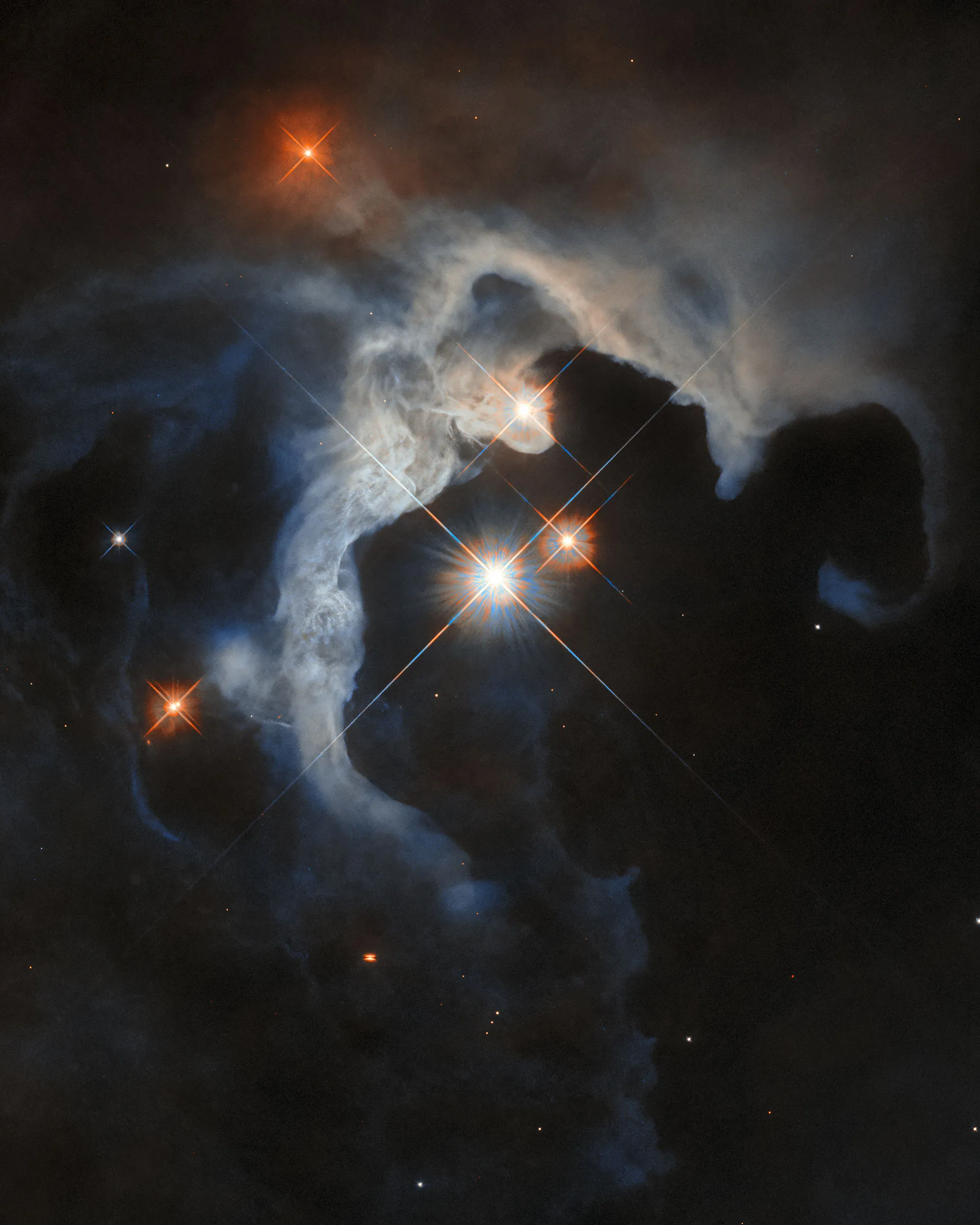 The young stars of Taurus