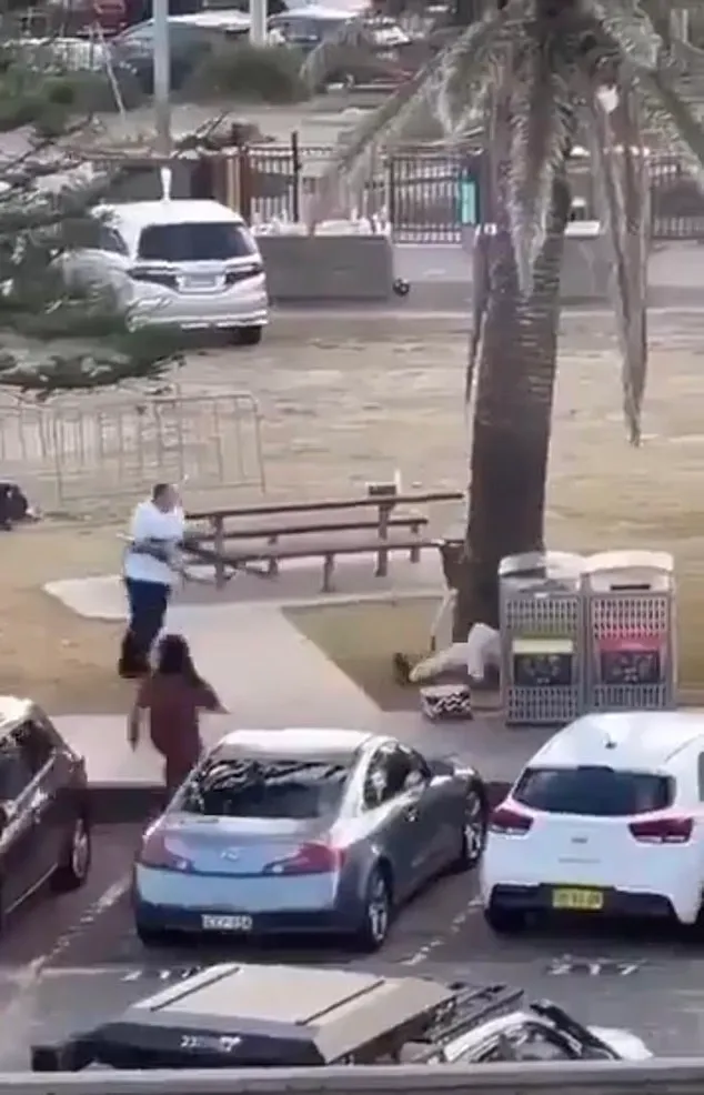Stills from video video from the Bondi Beach terror attack showing a hero creeping up behind one of the gunmen and successfully wrestling his rifle off him.