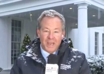 ‘I may need bail money’: MAGA reporter loses it making snow angels on White House lawn