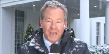 ‘I may need bail money’: MAGA reporter loses it making snow angels on White House lawn