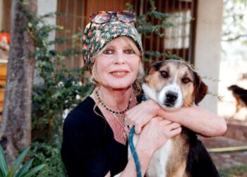 Brigitte Bardot Remembered for Film Career, Tireless Animal-Rescue Efforts – and Edgy Politics