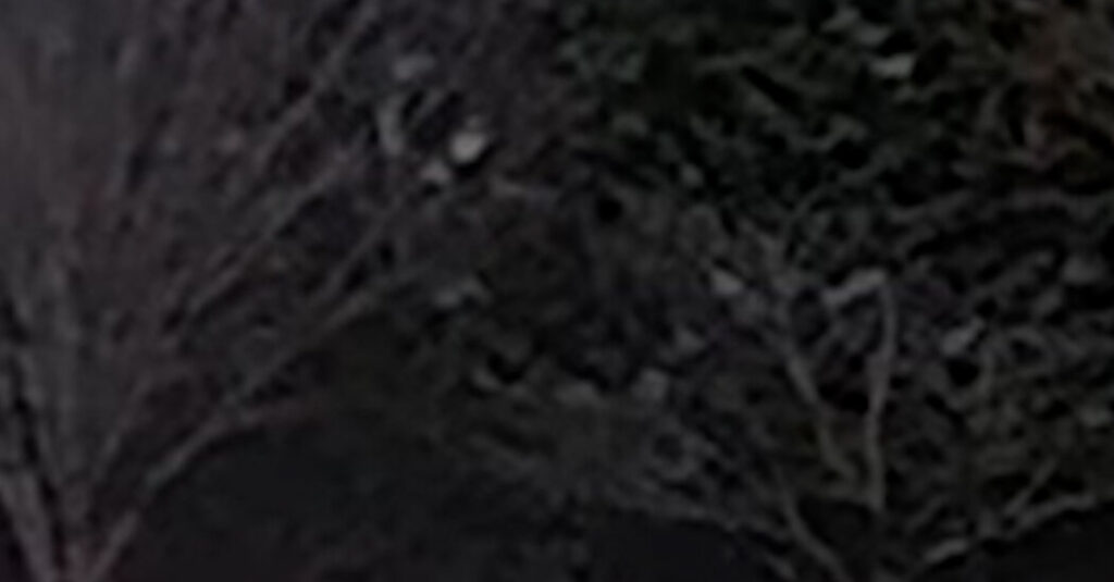 Here Are the Only Known Videos of the Possible Brown University Gunman