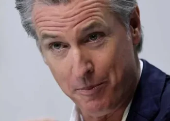 CEOs called out to their faces for ‘groveling’ to Trump