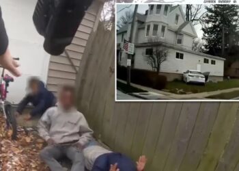 Pint-sized perps lead cops on frantic chase — after they learned how to steal cars on YouTube