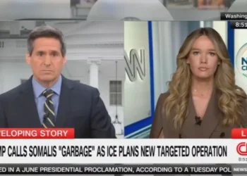 ‘My question is, all of them?’ DHS official struggles to defend Trump’s xenophobic remark