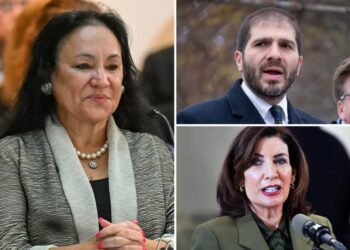 NY education officials won’t say if state is complying with ‘FAFSA’ law meant to grant access to $1B in fed aid