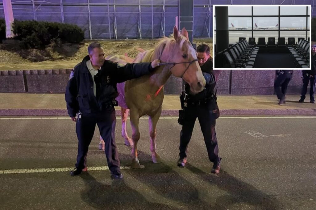 Runaway horse ‘Sundance’ dashes down highways near JFK Airport before safe capture: wild footage