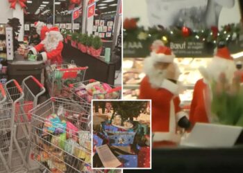 Robin Hood-style thieves dressed as Santa and elves steal $3K worth of goods from Canada grocery store