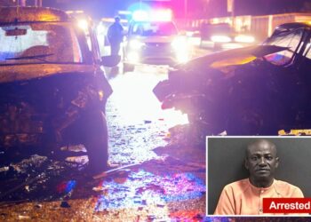 Trucker slapped with charges in fatal driving incident previously immigrated to US illegally: source