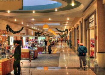 White House economist touts ‘good news’ for Black Friday despite alarming figures