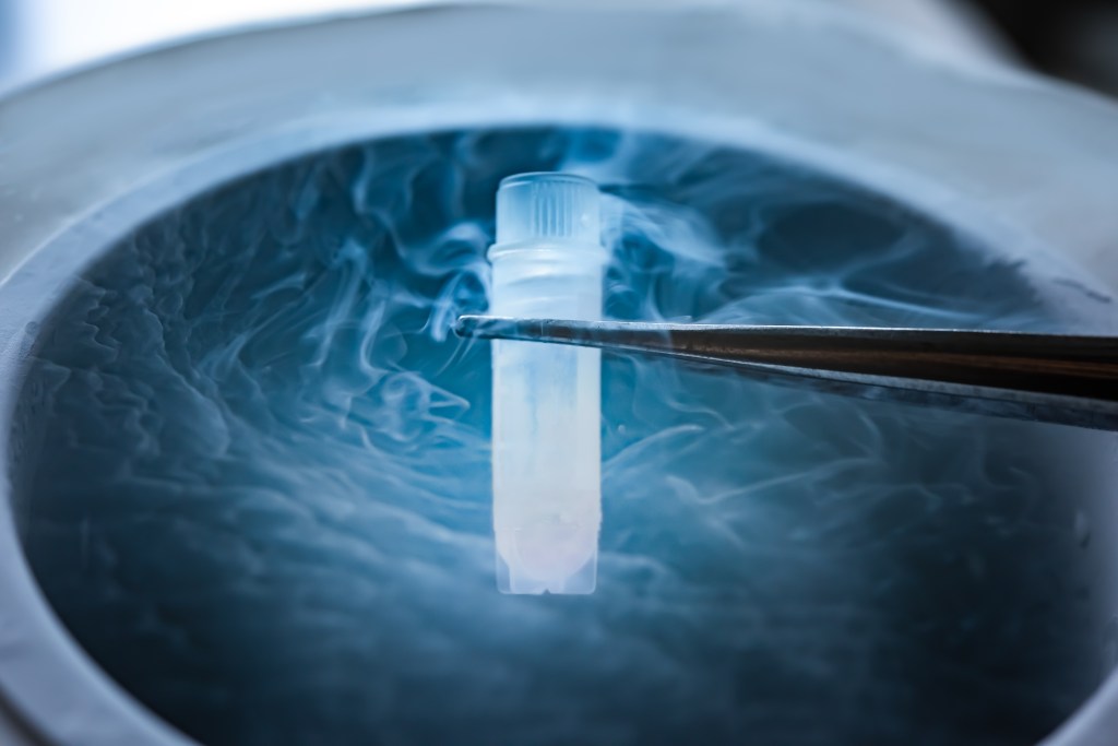 A test tube of cryosamples being held by tweezers over a bank of liquid nitrogen.