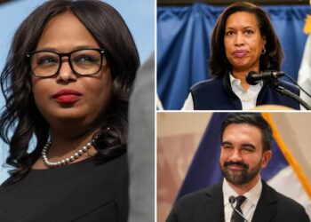 Democratic Socialist Janeese Lewis George launches bid for DC mayor 