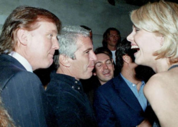 Susie Wiles throws Trump ‘under the bus’ by ‘contradicting’ Epstein denial: analyst