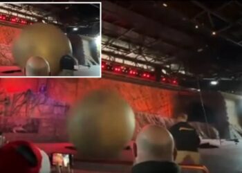 Runaway Disney World show boulder barrels off course and wallops heroic Indiana Jones staffer