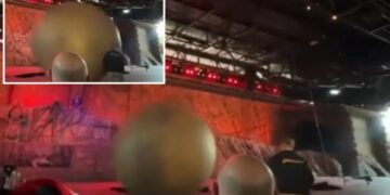 Runaway Disney World show boulder barrels off course and wallops heroic Indiana Jones staffer