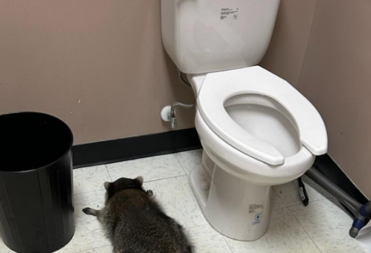 This Republican acted like the famed whiskey-guzzling raccoon with his embarrassing rant