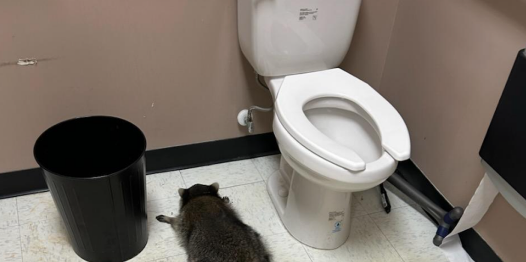 This Republican acted like the famed whiskey-guzzling raccoon with his embarrassing rant