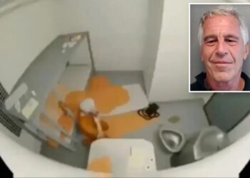 DOJ releases shocking fake video of Jeffrey Epstein suicide as part of file dump