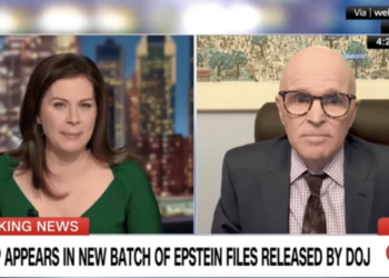 ‘It’s ridiculous!’ Ex-Trump executive makes stunning comparison about Epstein files