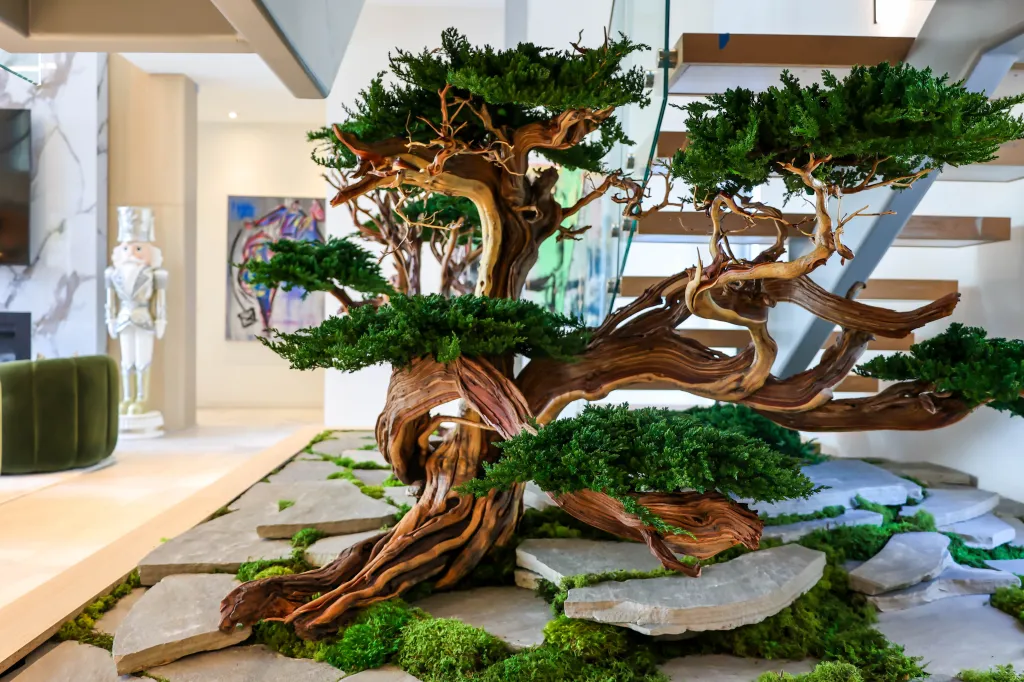 Indoor bonsai tree on a bed of stones and moss.