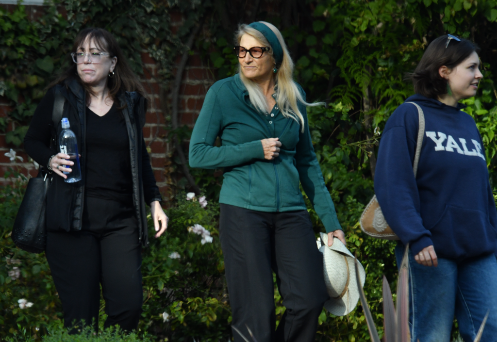 Three family and friends bring food to the home of Annie Reiner in Los Angeles.