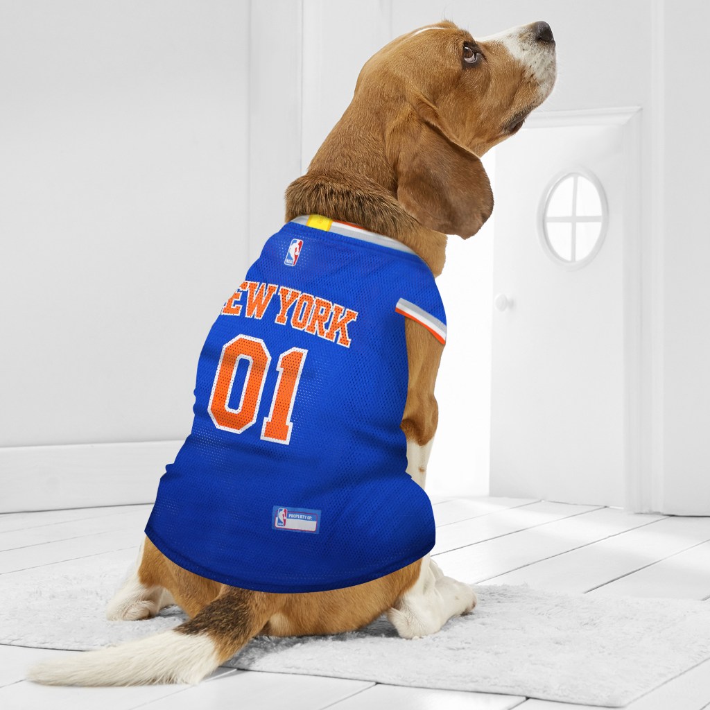 Dog wearing a blue NBA Knicks pet jersey with