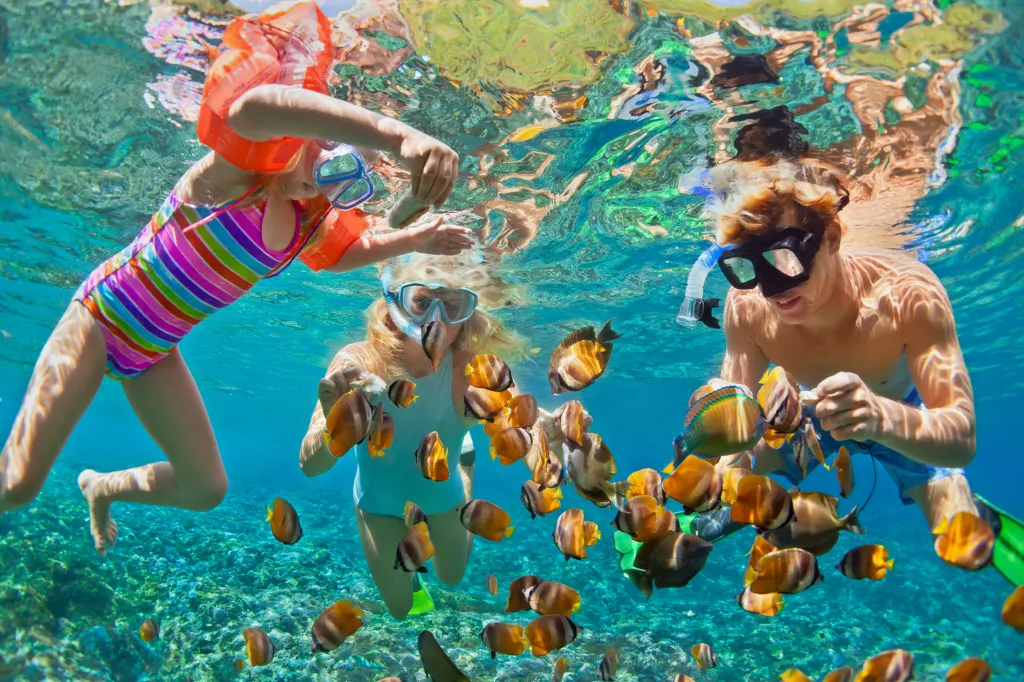 Family snorkeling with fish in Hawaii
